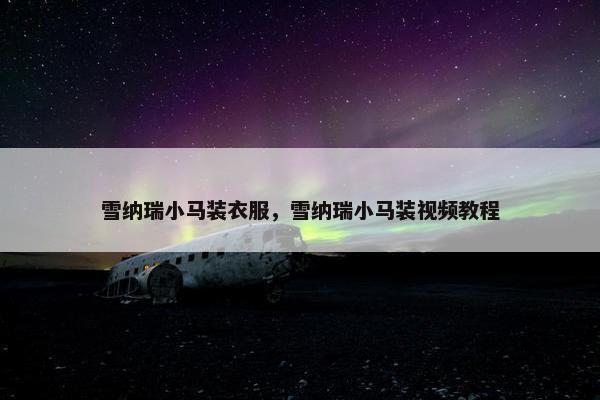 雪纳瑞小马装衣服，雪纳瑞小马装视频教程