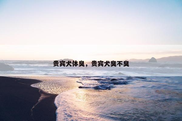 贵宾犬体臭，贵宾犬臭不臭