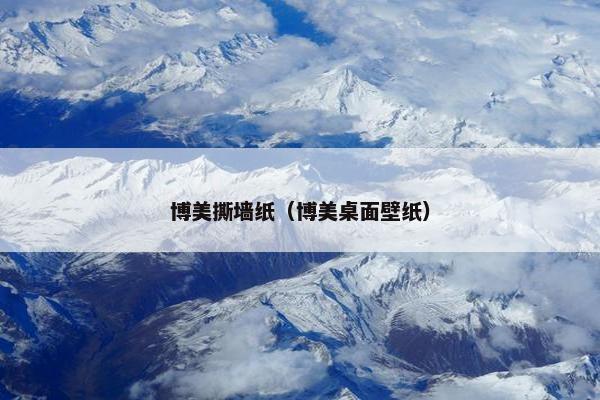 博美撕墙纸（博美桌面壁纸）