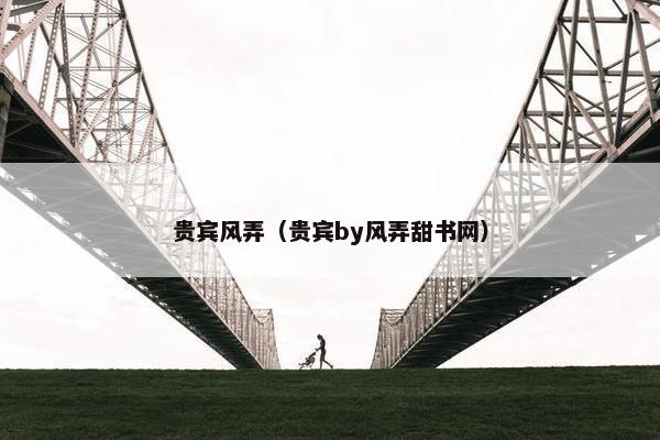贵宾风弄（贵宾by风弄甜书网）