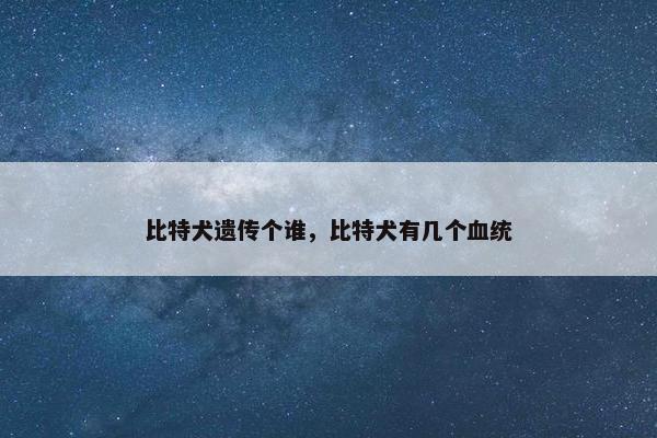 比特犬遗传个谁，比特犬有几个血统