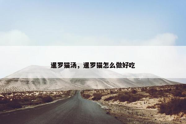 暹罗猫汤，暹罗猫怎么做好吃