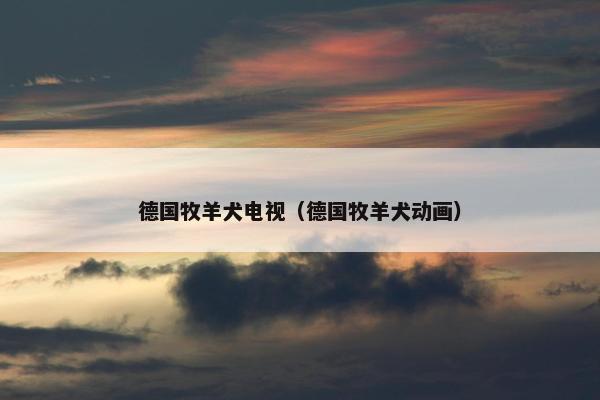 德国牧羊犬电视（德国牧羊犬动画）