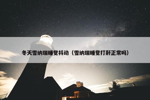 冬天雪纳瑞睡觉抖动（雪纳瑞睡觉打鼾正常吗）