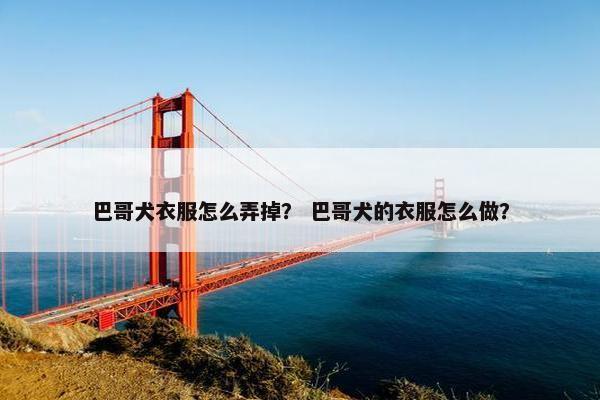 巴哥犬衣服怎么弄掉？ 巴哥犬的衣服怎么做？