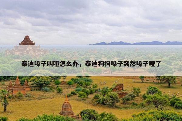 泰迪嗓子叫哑怎么办，泰迪狗狗嗓子突然嗓子哑了