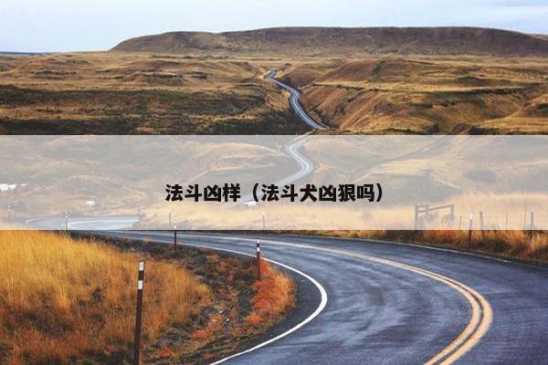 法斗凶样（法斗犬凶狠吗）