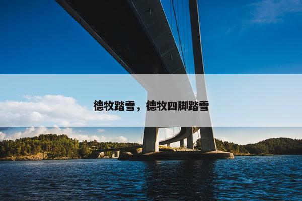 德牧踏雪，德牧四脚踏雪