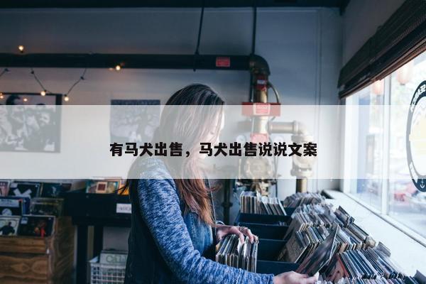 有马犬出售，马犬出售说说文案