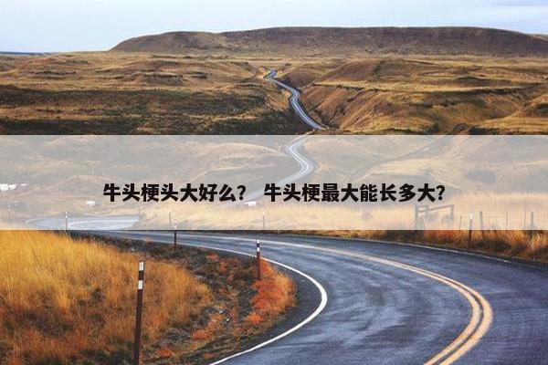 牛头梗头大好么？ 牛头梗最大能长多大？