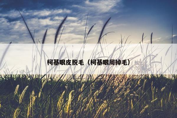 柯基眼皮脱毛（柯基眼周掉毛）
