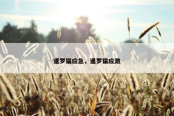 暹罗猫应急，暹罗猫应激