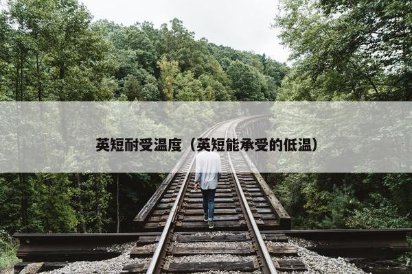 英短耐受温度（英短能承受的低温）