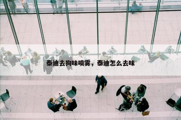 泰迪去狗味喷雾，泰迪怎么去味