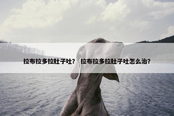 拉布拉多拉肚子吐？ 拉布拉多拉肚子吐怎么治？