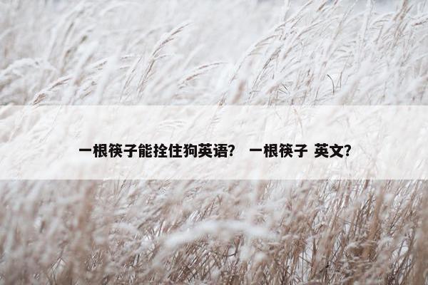 一根筷子能拴住狗英语？ 一根筷子 英文？