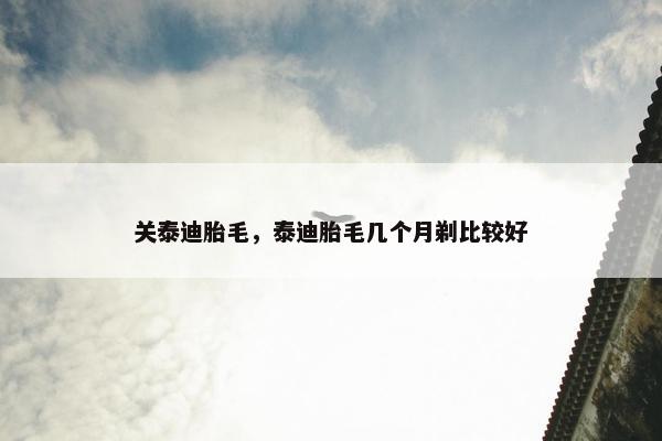 关泰迪胎毛，泰迪胎毛几个月剃比较好
