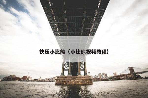 快乐小比熊（小比熊视频教程）