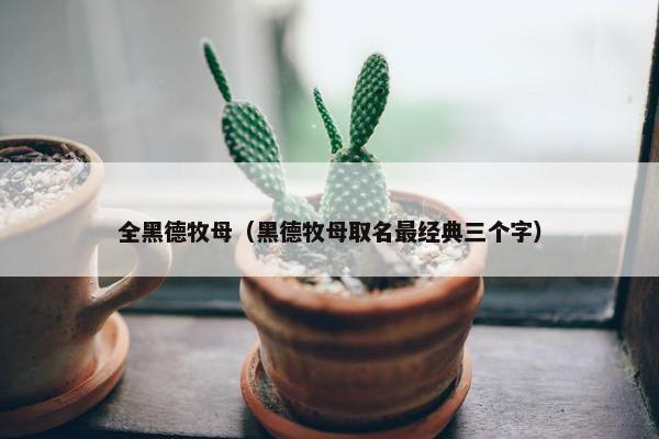 全黑德牧母（黑德牧母取名最经典三个字）
