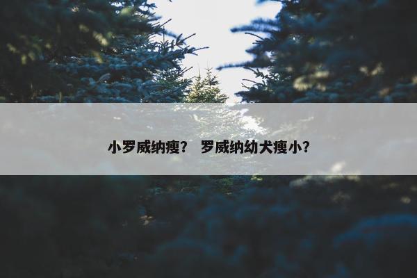 小罗威纳瘦？ 罗威纳幼犬瘦小？