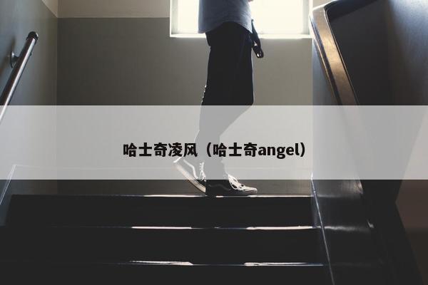 哈士奇凌风（哈士奇angel）