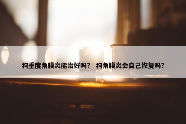 狗重度角膜炎能治好吗？ 狗角膜炎会自己恢复吗？