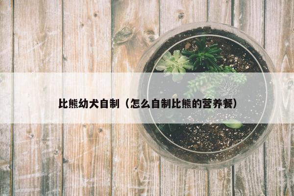 比熊幼犬自制（怎么自制比熊的营养餐）