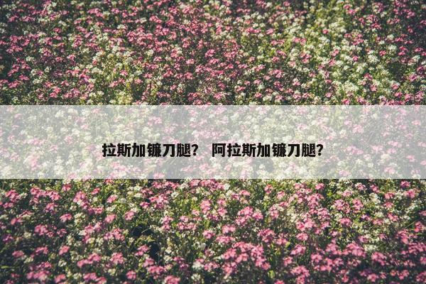 拉斯加镰刀腿？ 阿拉斯加镰刀腿？