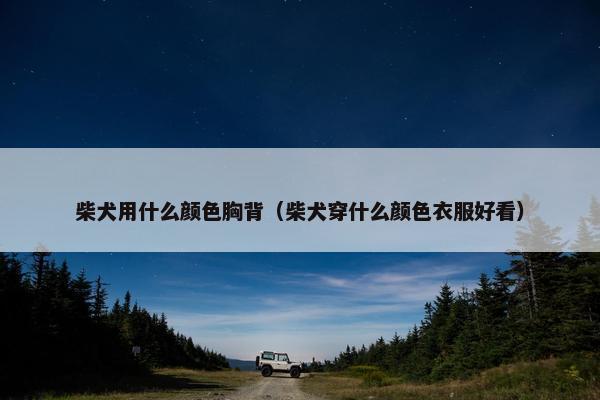 柴犬用什么颜色胸背（柴犬穿什么颜色衣服好看）