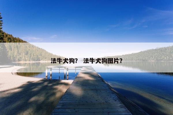 法牛犬狗？ 法牛犬狗图片？