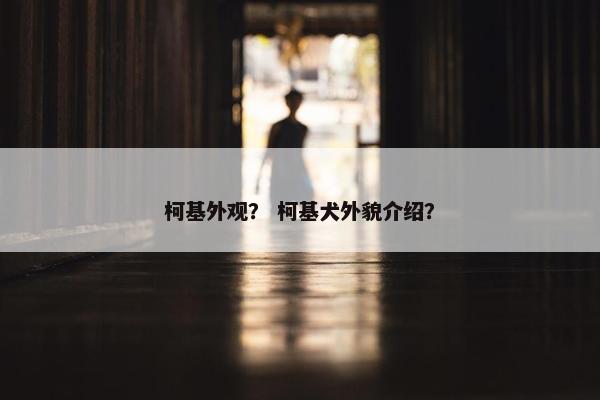 柯基外观？ 柯基犬外貌介绍？