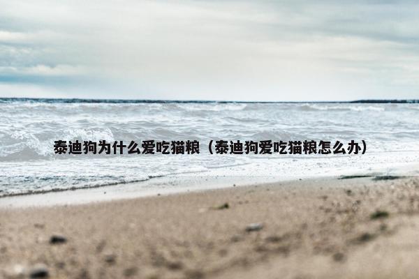 泰迪狗为什么爱吃猫粮（泰迪狗爱吃猫粮怎么办）