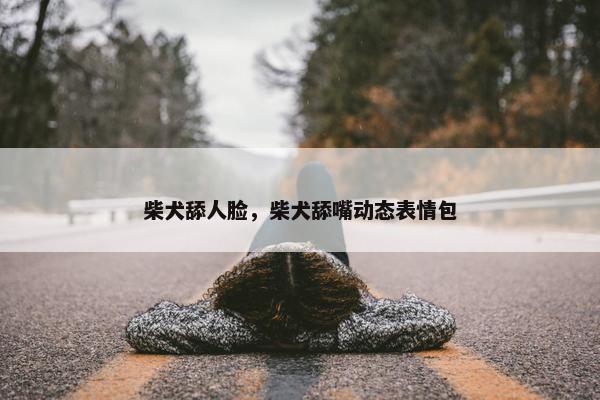 柴犬舔人脸，柴犬舔嘴动态表情包