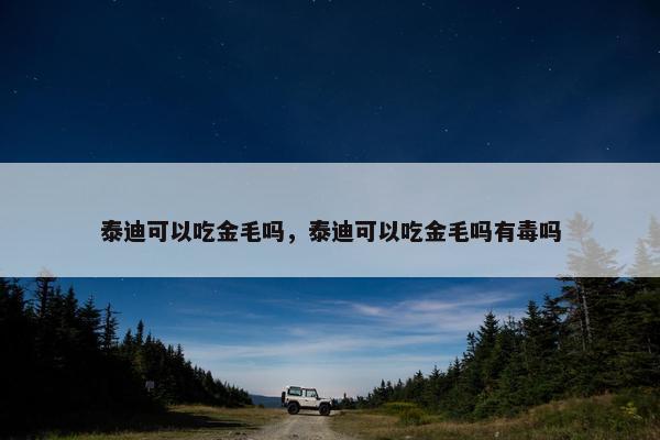 泰迪可以吃金毛吗，泰迪可以吃金毛吗有毒吗