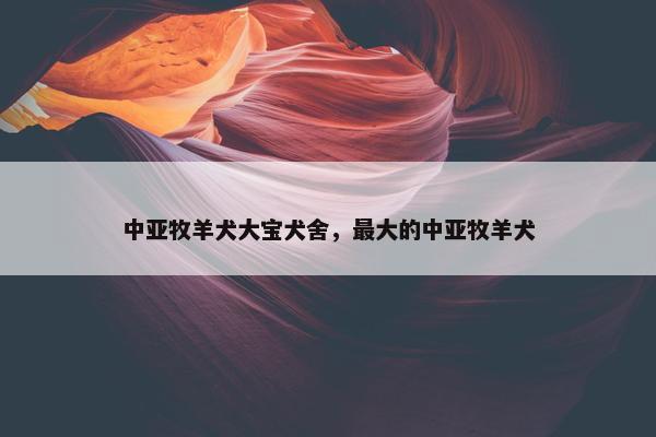 中亚牧羊犬大宝犬舍，最大的中亚牧羊犬