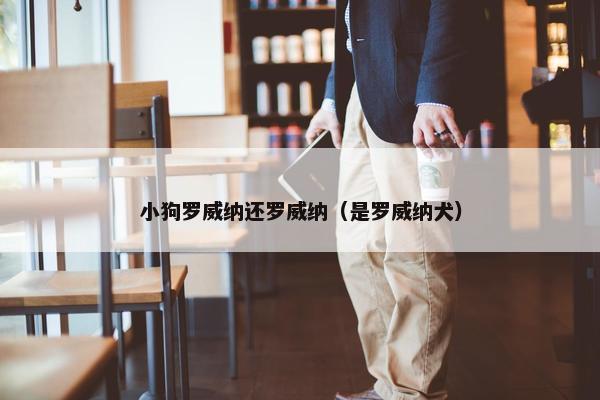 小狗罗威纳还罗威纳（是罗威纳犬）