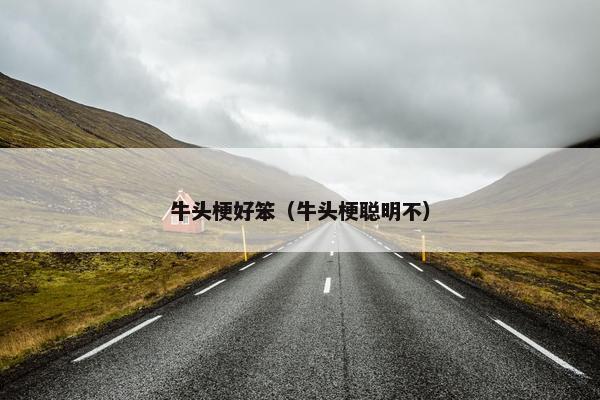牛头梗好笨（牛头梗聪明不）