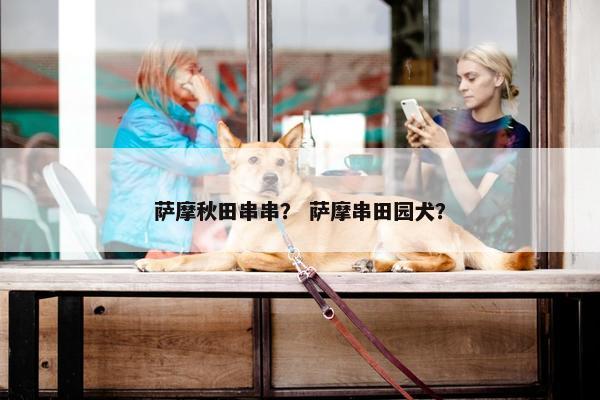 萨摩秋田串串？ 萨摩串田园犬？