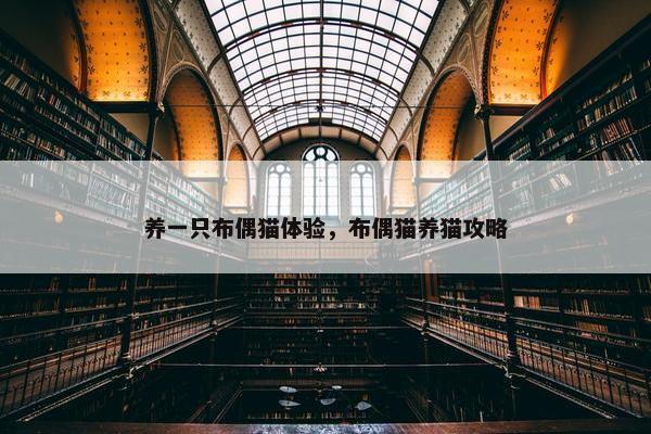 养一只布偶猫体验，布偶猫养猫攻略
