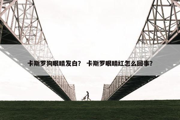 卡斯罗狗眼睛发白？ 卡斯罗眼睛红怎么回事？