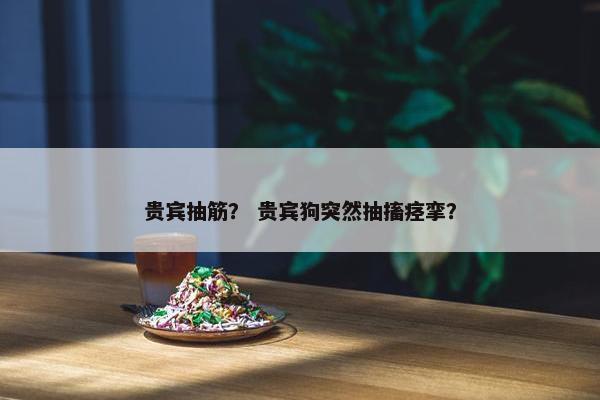 贵宾抽筋？ 贵宾狗突然抽搐痉挛？