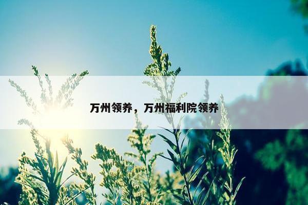 万州领养，万州福利院领养