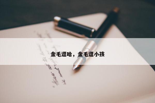 金毛逗哈，金毛逗小孩