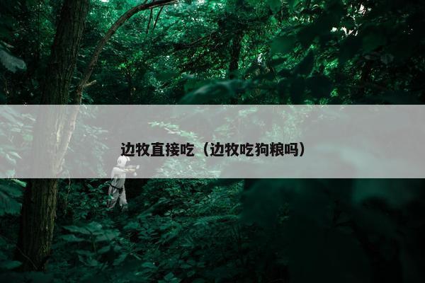 边牧直接吃（边牧吃狗粮吗）