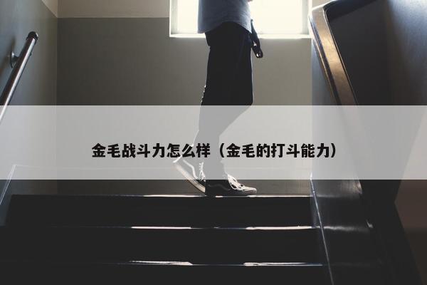 金毛战斗力怎么样（金毛的打斗能力）