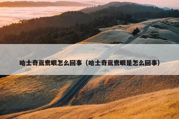 哈士奇鸳鸯眼怎么回事（哈士奇鸳鸯眼是怎么回事）