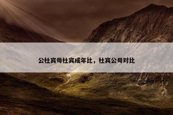 公杜宾母杜宾成年比，杜宾公母对比