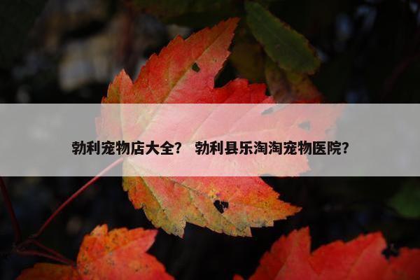 勃利宠物店大全？ 勃利县乐淘淘宠物医院？