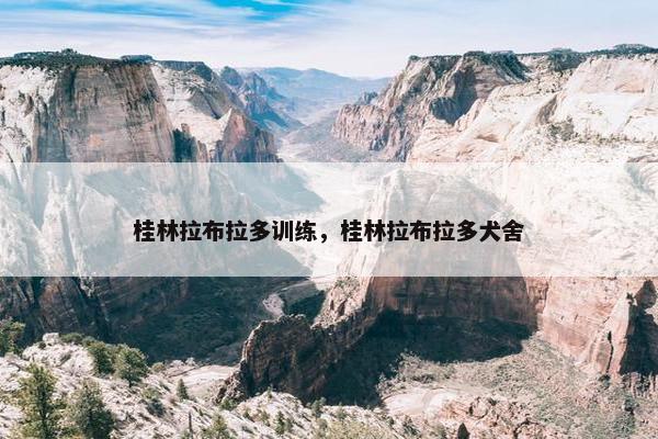 桂林拉布拉多训练，桂林拉布拉多犬舍