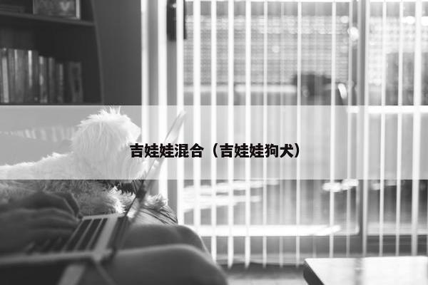 吉娃娃混合（吉娃娃狗犬）